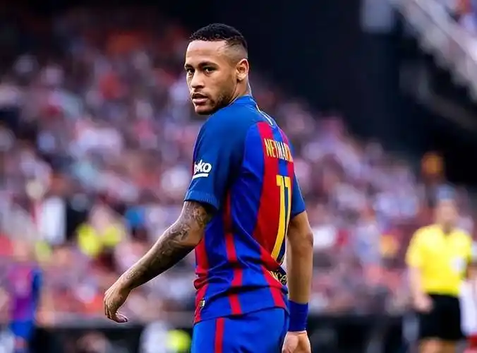 有潜力的新 有潜力的新