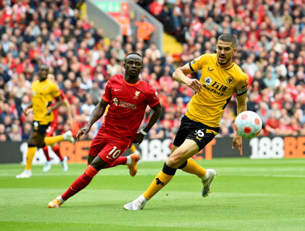 的成效不仅 的成效不仅